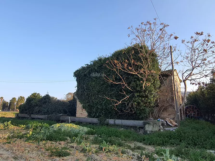 Immagine 4 di Casa indipendente in vendita  in Contrada isola Ovest a Monteprandone