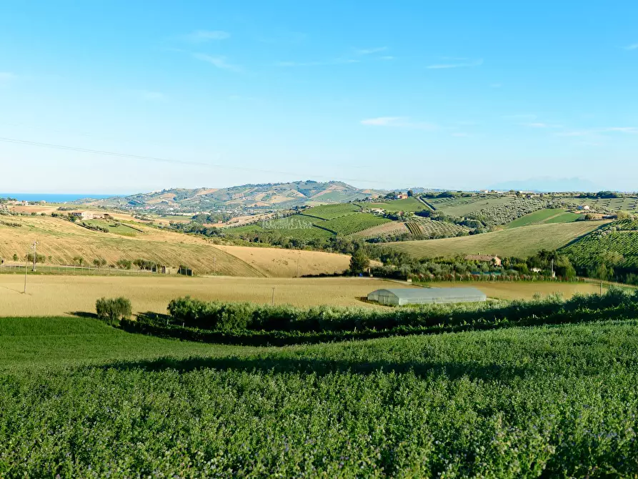 Immagine 16 di Rustico / casale in vendita  in contrada riomoro a Colonnella