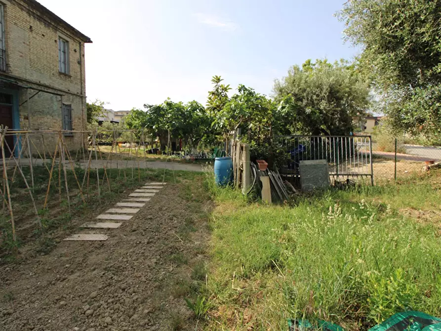 Immagine 9 di Rustico / casale in vendita  in via del gabbiano a San Benedetto Del Tronto