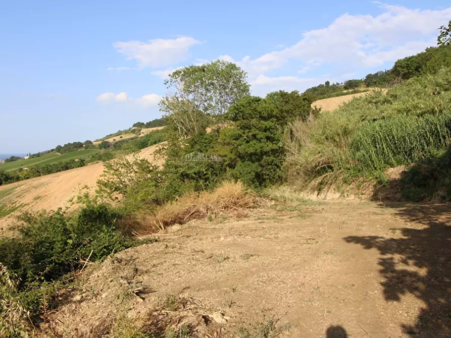 Immagine 20 di Rustico / casale in vendita  in contrada aso a Montefiore Dell'aso