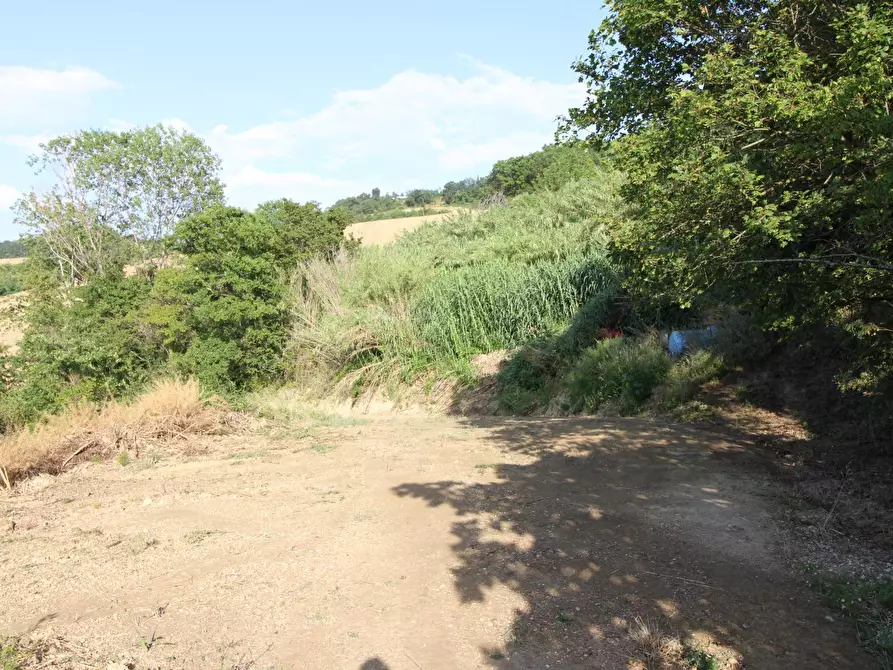 Immagine 21 di Rustico / casale in vendita  in contrada aso a Montefiore Dell'aso