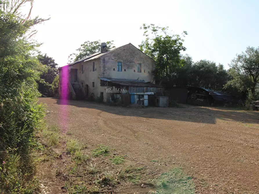 Immagine 22 di Rustico / casale in vendita  in contrada aso a Montefiore Dell'aso