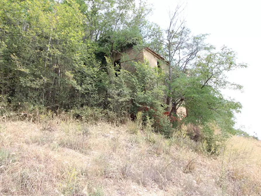Immagine 14 di Rustico / casale in vendita  in via acquarola a Ripatransone