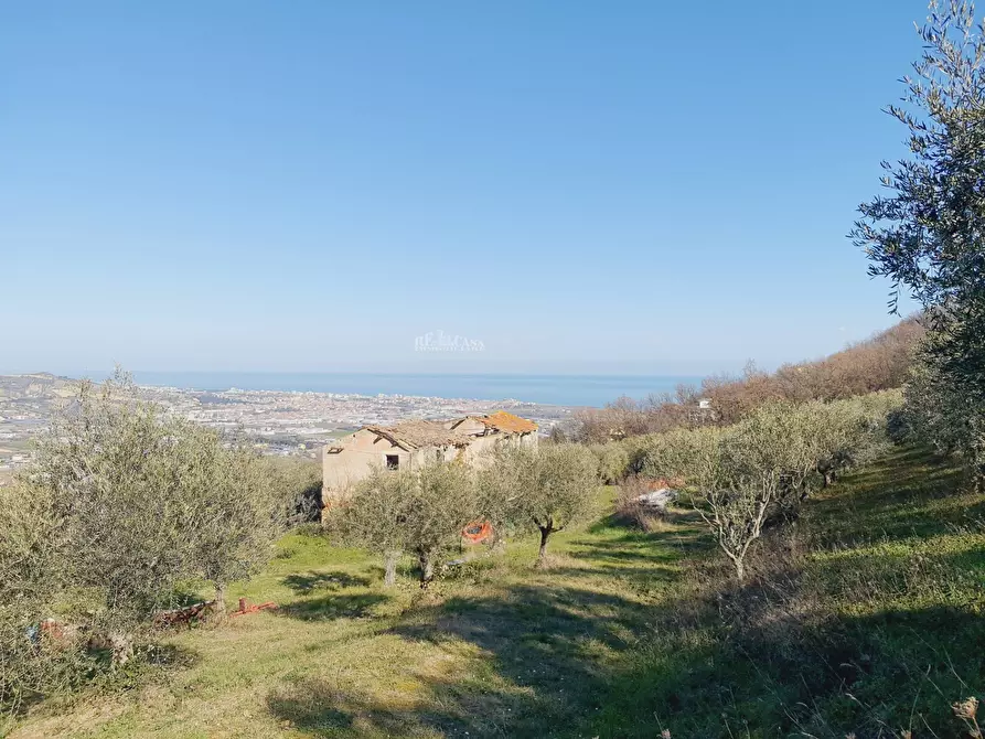 Immagine 4 di Rustico / casale in vendita  in CONTRADA SAN GIOVANNI a Colonnella