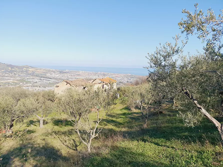 Immagine 5 di Rustico / casale in vendita  in CONTRADA SAN GIOVANNI a Colonnella