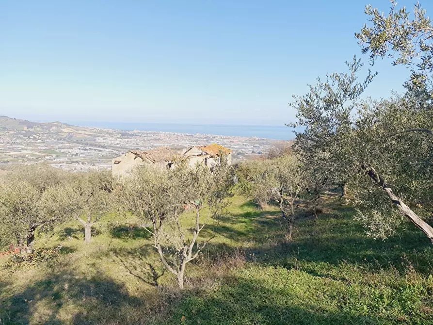 Immagine 6 di Rustico / casale in vendita  in CONTRADA SAN GIOVANNI a Colonnella