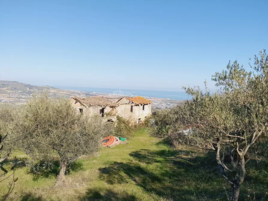 Immagine 8 di Rustico / casale in vendita  in CONTRADA SAN GIOVANNI a Colonnella