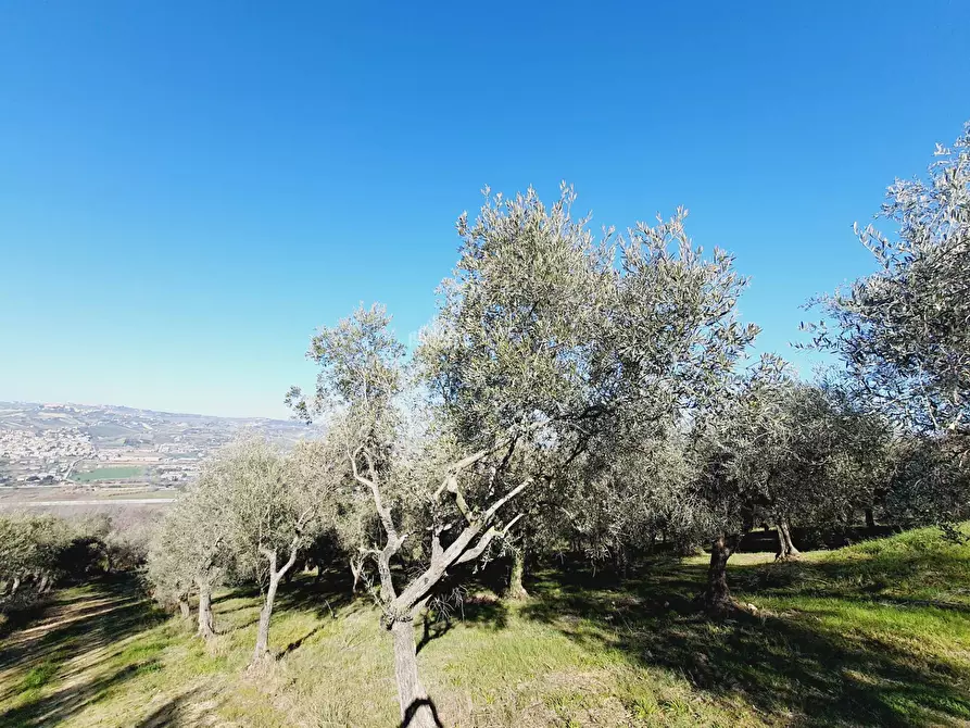 Immagine 10 di Rustico / casale in vendita  in CONTRADA SAN GIOVANNI a Colonnella