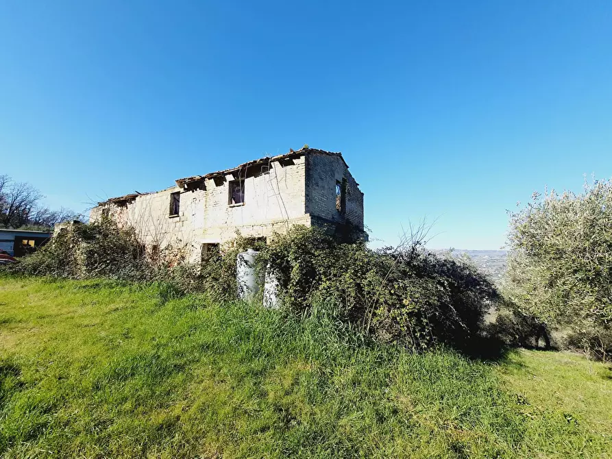 Immagine 13 di Rustico / casale in vendita  in CONTRADA SAN GIOVANNI a Colonnella