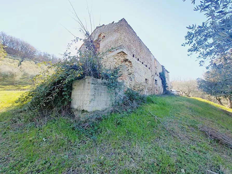 Immagine 15 di Rustico / casale in vendita  in CONTRADA SAN GIOVANNI a Colonnella