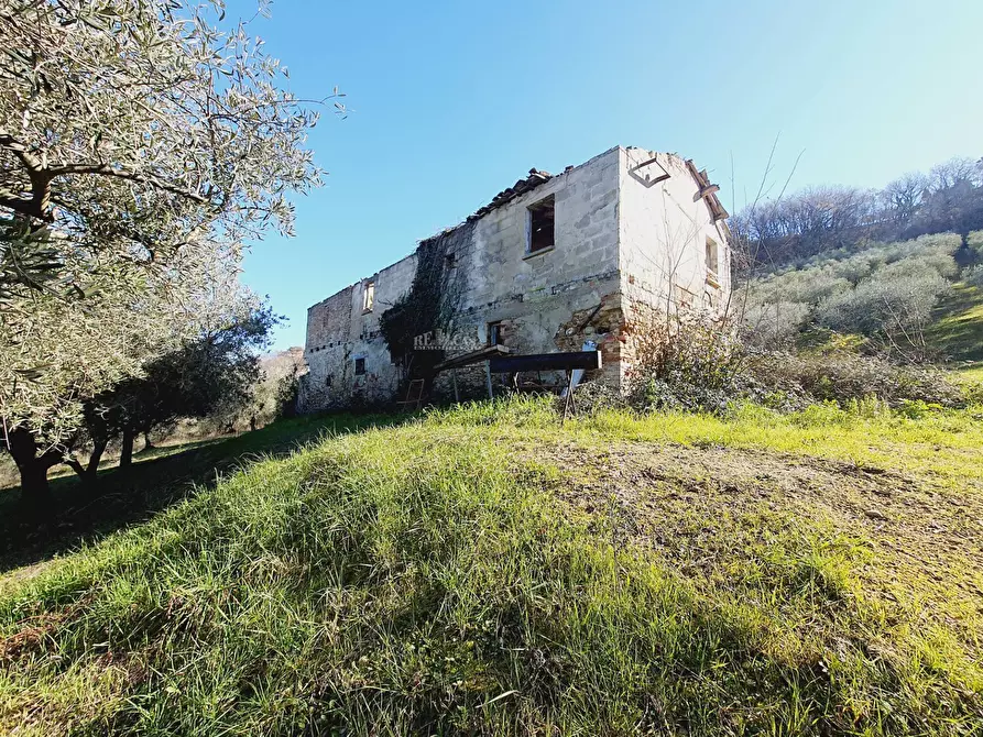 Immagine 16 di Rustico / casale in vendita  in CONTRADA SAN GIOVANNI a Colonnella