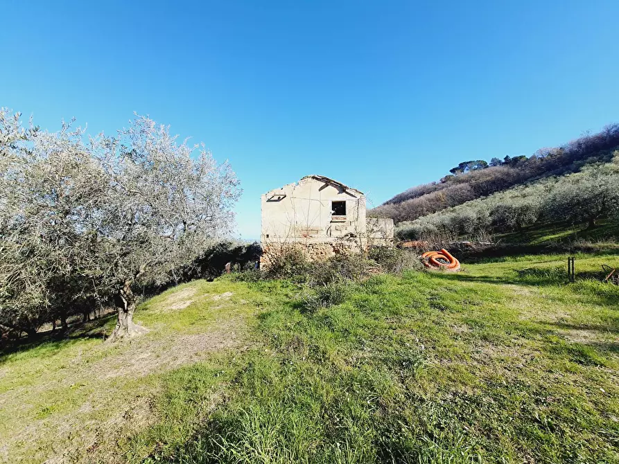 Immagine 17 di Rustico / casale in vendita  in CONTRADA SAN GIOVANNI a Colonnella