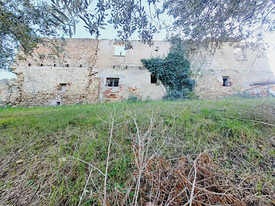 Immagine 22 di Rustico / casale in vendita  in CONTRADA SAN GIOVANNI a Colonnella