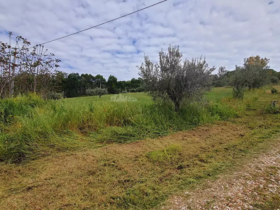 Immagine 10 di Rustico / casale in vendita  in Contrada MAREZI a Massignano
