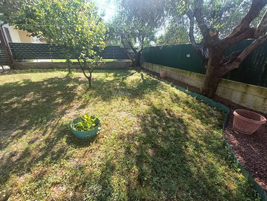 Immagine 24 di Appartamento in vendita  in Via Circonvallazione sud a Monteprandone