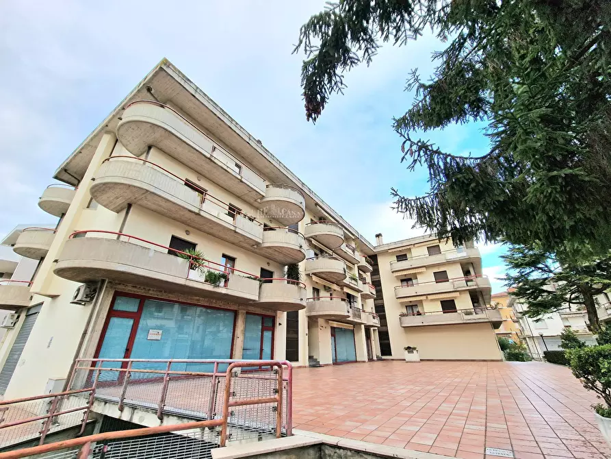 Immagine 26 di Appartamento in vendita  in Via Dei Pini a Monteprandone