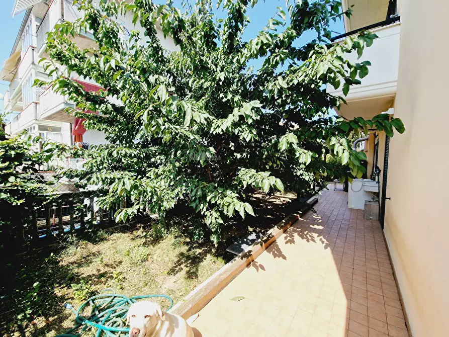 Immagine 3 di Appartamento in vendita  in Via Leopardi a Colli Del Tronto