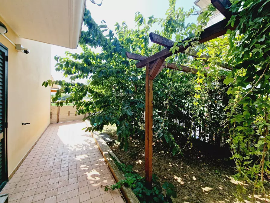 Immagine 6 di Appartamento in vendita  in Via Leopardi a Colli Del Tronto