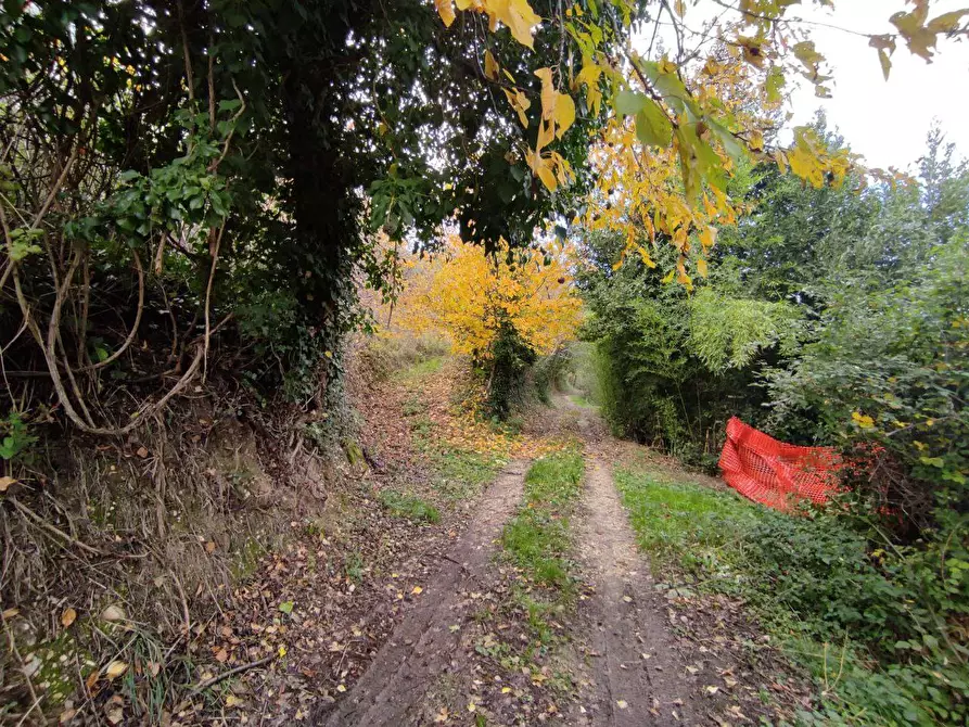 Immagine 7 di Terreno agricolo in vendita  in Zona industriale campolungo a Ascoli Piceno