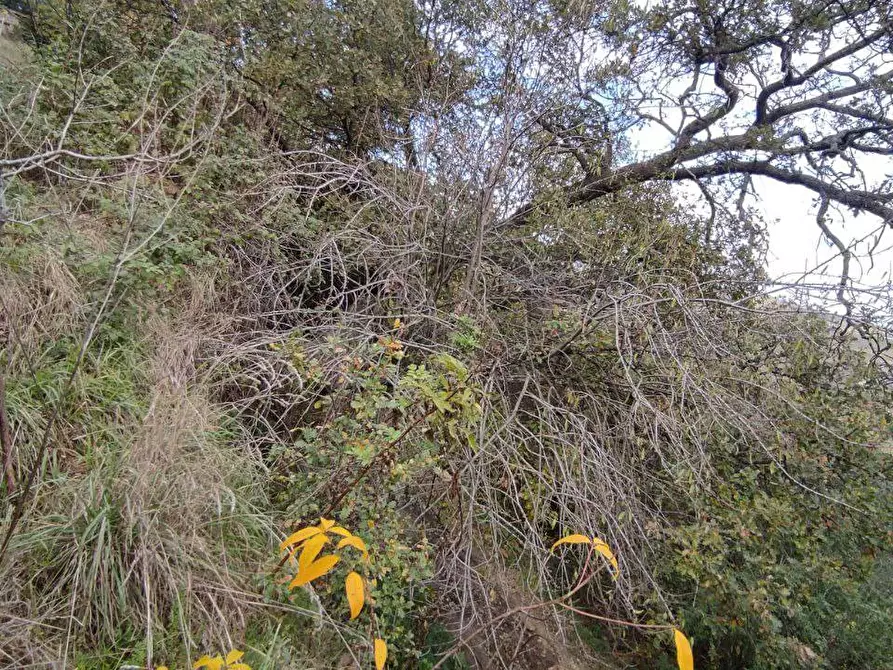 Immagine 3 di Terreno agricolo in vendita  in Zona industriale campolungo a Ascoli Piceno