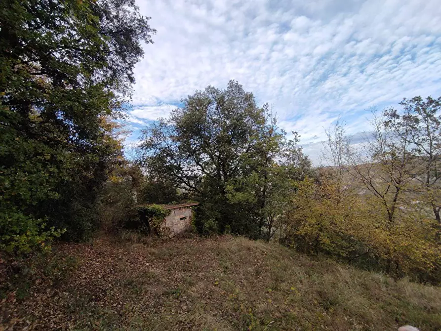 Immagine 1 di Terreno agricolo in vendita  in Zona industriale campolungo a Ascoli Piceno