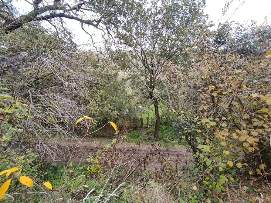 Immagine 4 di Terreno agricolo in vendita  in Zona industriale campolungo a Ascoli Piceno