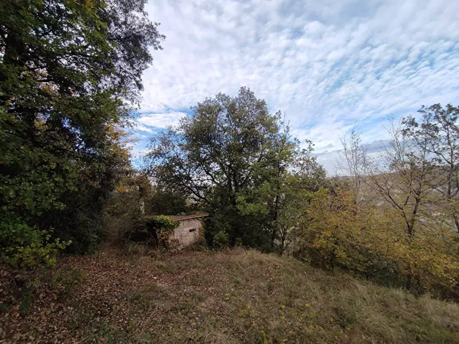 Immagine 2 di Terreno agricolo in vendita  in Zona industriale campolungo a Ascoli Piceno