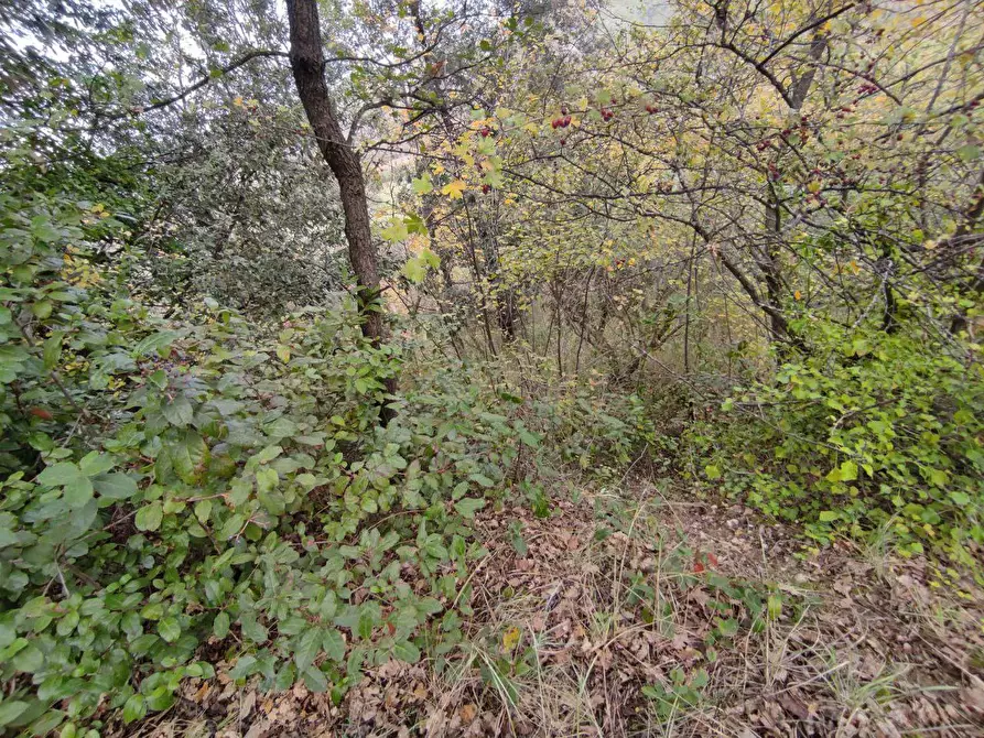Immagine 6 di Terreno agricolo in vendita  in Zona industriale campolungo a Ascoli Piceno