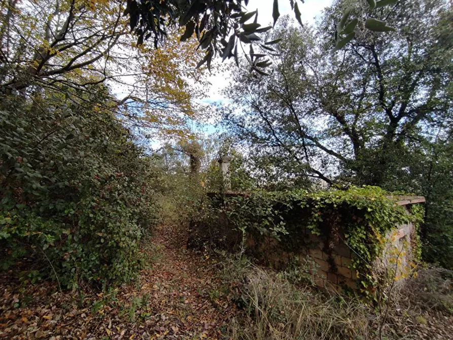 Immagine 8 di Terreno agricolo in vendita  in Zona industriale campolungo a Ascoli Piceno