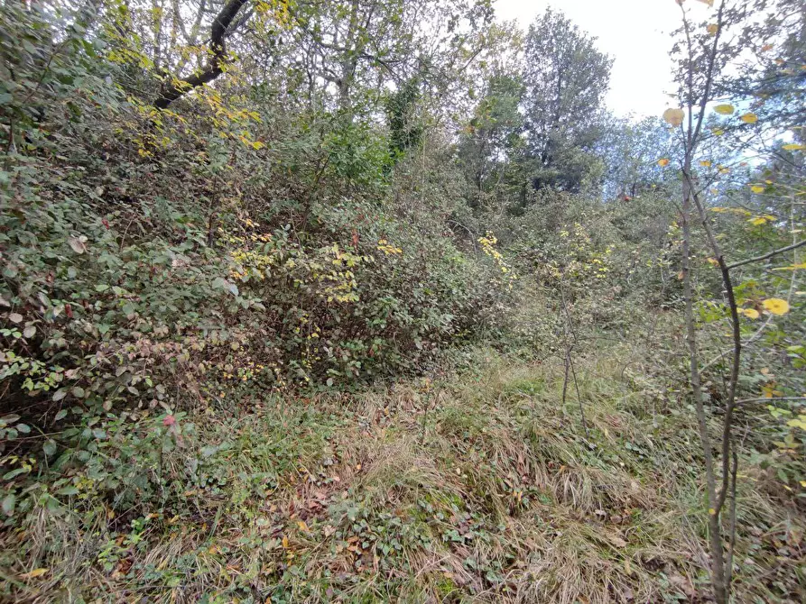 Immagine 9 di Terreno agricolo in vendita  in Zona industriale campolungo a Ascoli Piceno