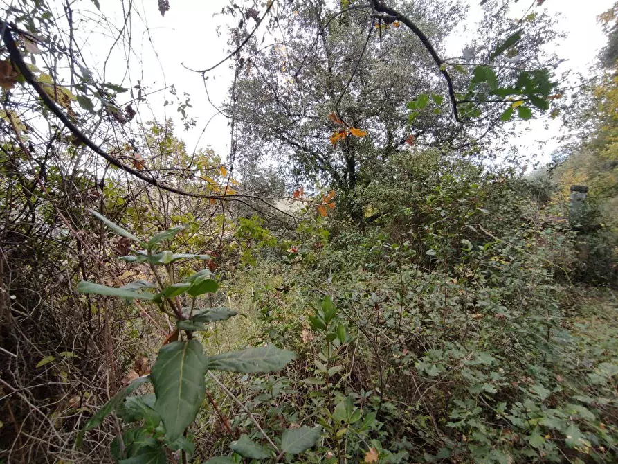 Immagine 10 di Terreno agricolo in vendita  in Zona industriale campolungo a Ascoli Piceno
