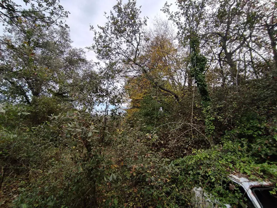Immagine 12 di Terreno agricolo in vendita  in Zona industriale campolungo a Ascoli Piceno