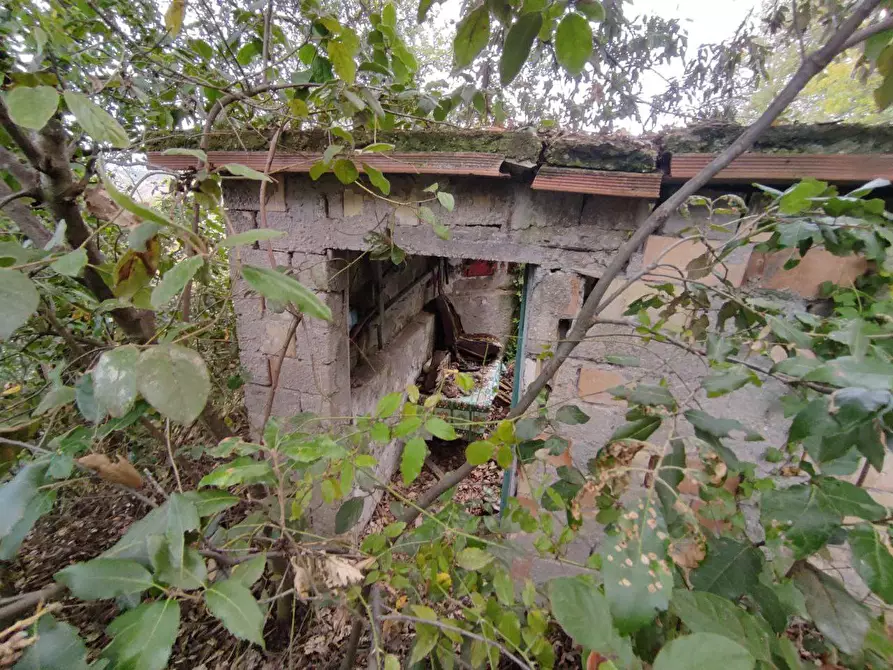 Immagine 13 di Terreno agricolo in vendita  in Zona industriale campolungo a Ascoli Piceno