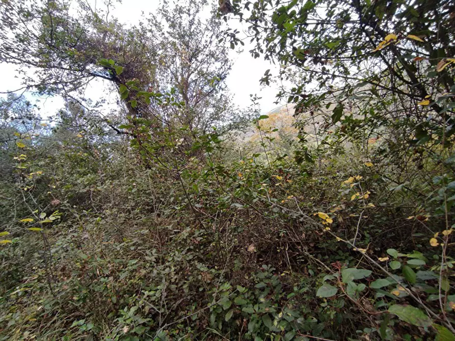 Immagine 14 di Terreno agricolo in vendita  in Zona industriale campolungo a Ascoli Piceno
