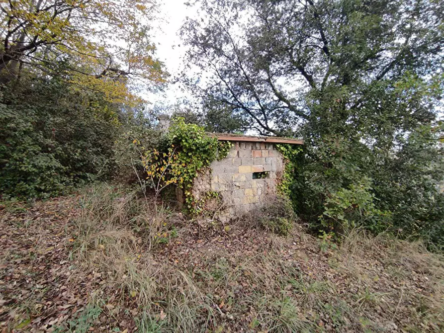 Immagine 15 di Terreno agricolo in vendita  in Zona industriale campolungo a Ascoli Piceno