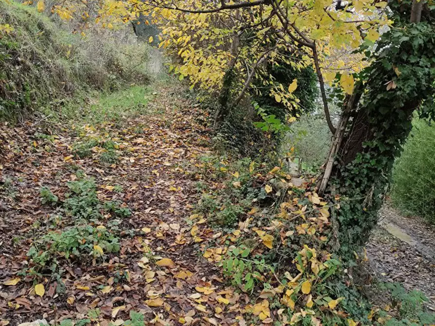 Immagine 16 di Terreno agricolo in vendita  in Zona industriale campolungo a Ascoli Piceno