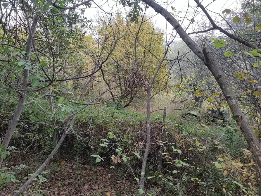 Immagine 17 di Terreno agricolo in vendita  in Zona industriale campolungo a Ascoli Piceno