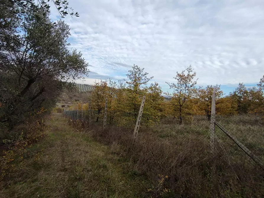 Immagine 18 di Terreno agricolo in vendita  in Zona industriale campolungo a Ascoli Piceno