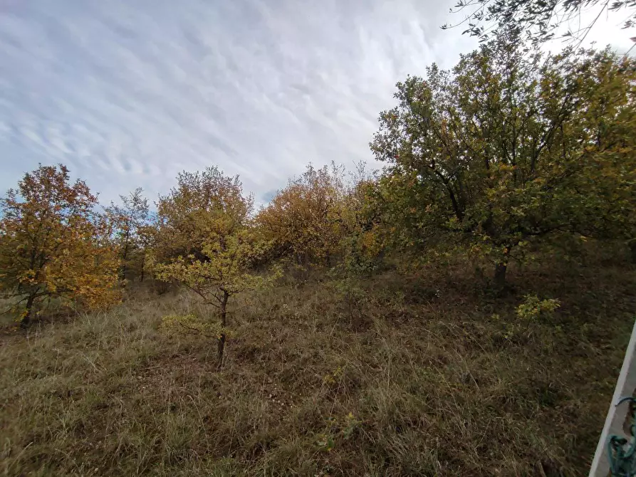 Immagine 19 di Terreno agricolo in vendita  in Zona industriale campolungo a Ascoli Piceno