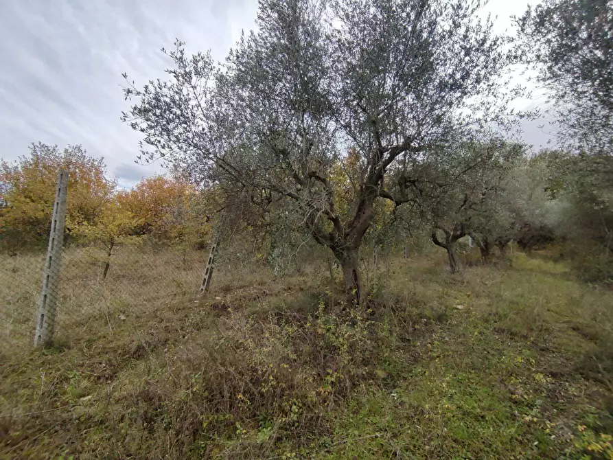 Immagine 20 di Terreno agricolo in vendita  in Zona industriale campolungo a Ascoli Piceno