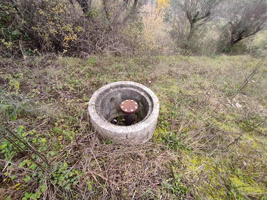 Immagine 21 di Terreno agricolo in vendita  in Zona industriale campolungo a Ascoli Piceno