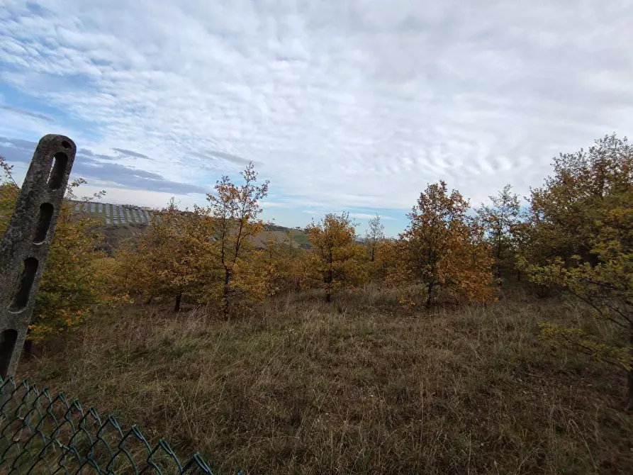 Immagine 22 di Terreno agricolo in vendita  in Zona industriale campolungo a Ascoli Piceno