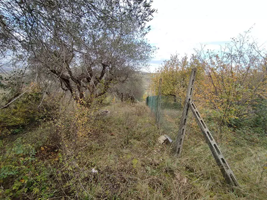 Immagine 23 di Terreno agricolo in vendita  in Zona industriale campolungo a Ascoli Piceno