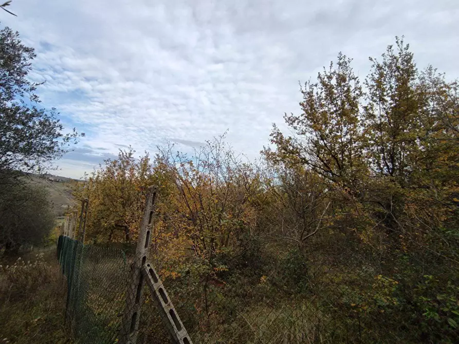 Immagine 24 di Terreno agricolo in vendita  in Zona industriale campolungo a Ascoli Piceno
