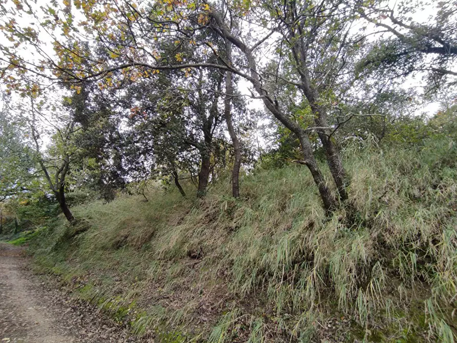 Immagine 25 di Terreno agricolo in vendita  in Zona industriale campolungo a Ascoli Piceno