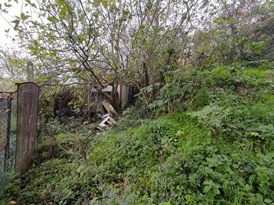 Immagine 26 di Terreno agricolo in vendita  in Zona industriale campolungo a Ascoli Piceno