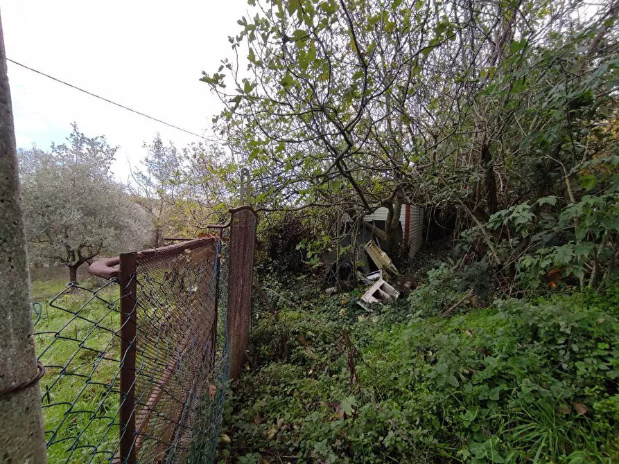 Immagine 27 di Terreno agricolo in vendita  in Zona industriale campolungo a Ascoli Piceno