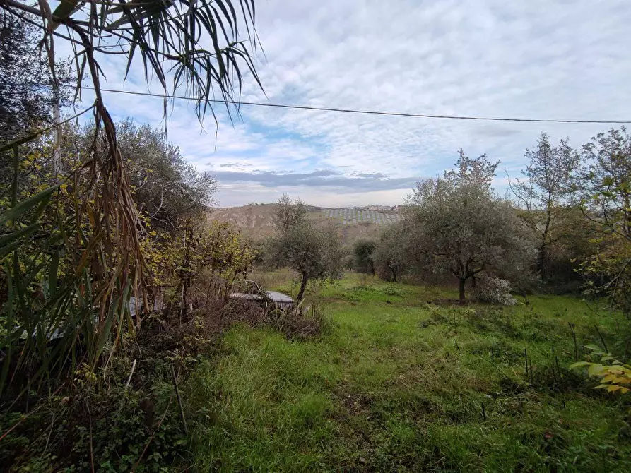 Immagine 28 di Terreno agricolo in vendita  in Zona industriale campolungo a Ascoli Piceno