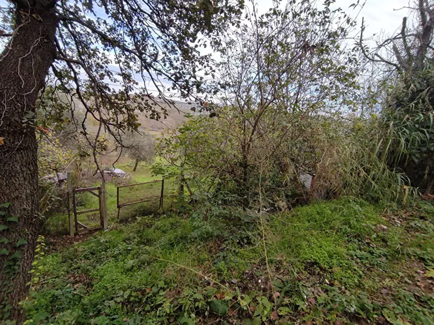 Immagine 29 di Terreno agricolo in vendita  in Zona industriale campolungo a Ascoli Piceno