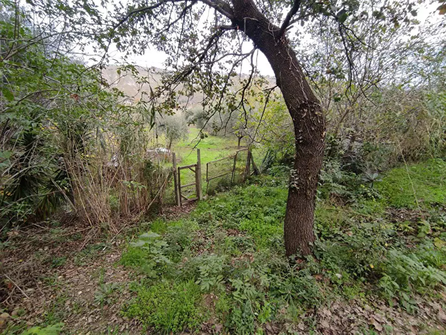 Immagine 30 di Terreno agricolo in vendita  in Zona industriale campolungo a Ascoli Piceno